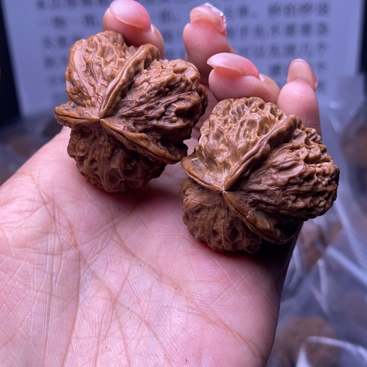 核桃云南野生铁核桃77号36mm