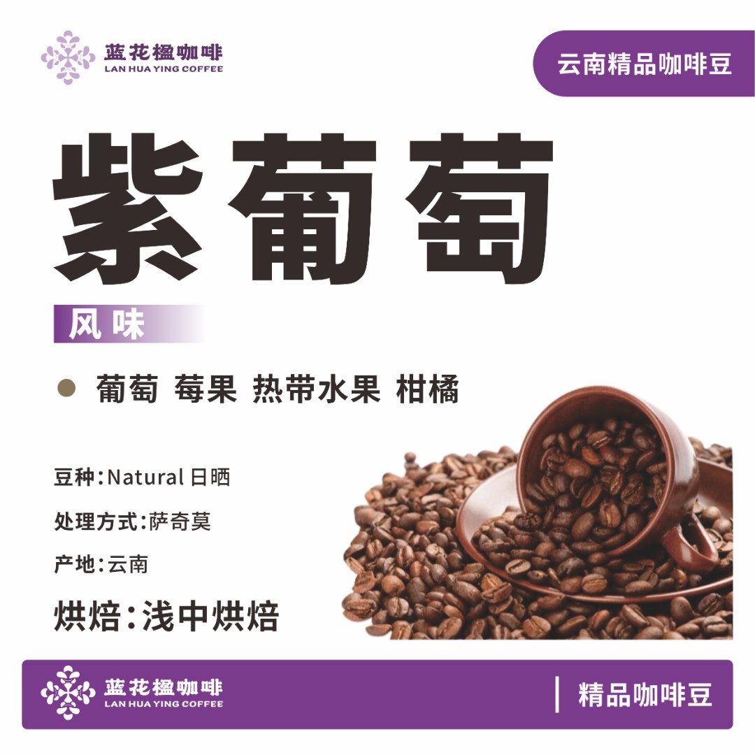 【紫葡萄】云南蓝花楹葡萄莓果热带水果柑橘风味精品咖啡豆