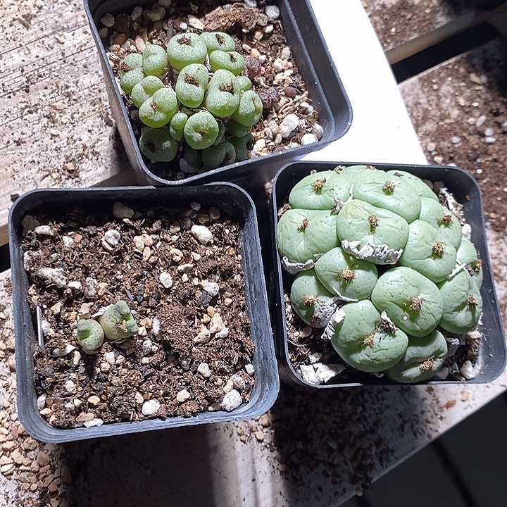 3349。  福利一组。  