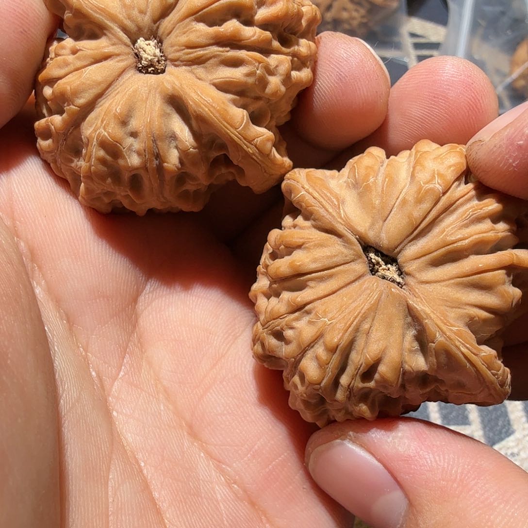 文玩核桃把件血麒麟