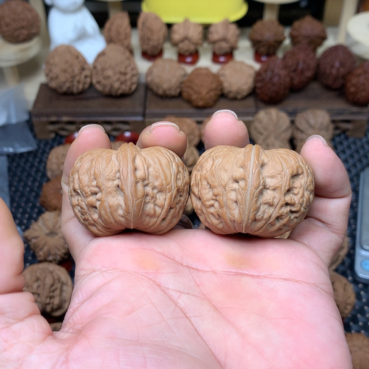 【闪购商品】文玩核桃把件全品平谷元宝狮子头45文玩核桃