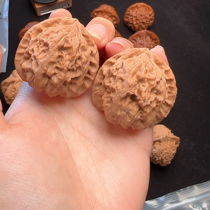 文玩核桃吊坠山西白狮子40