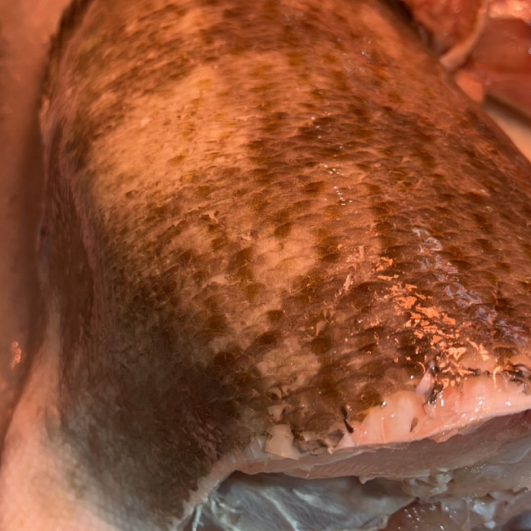 本港过鱼肉 处理好