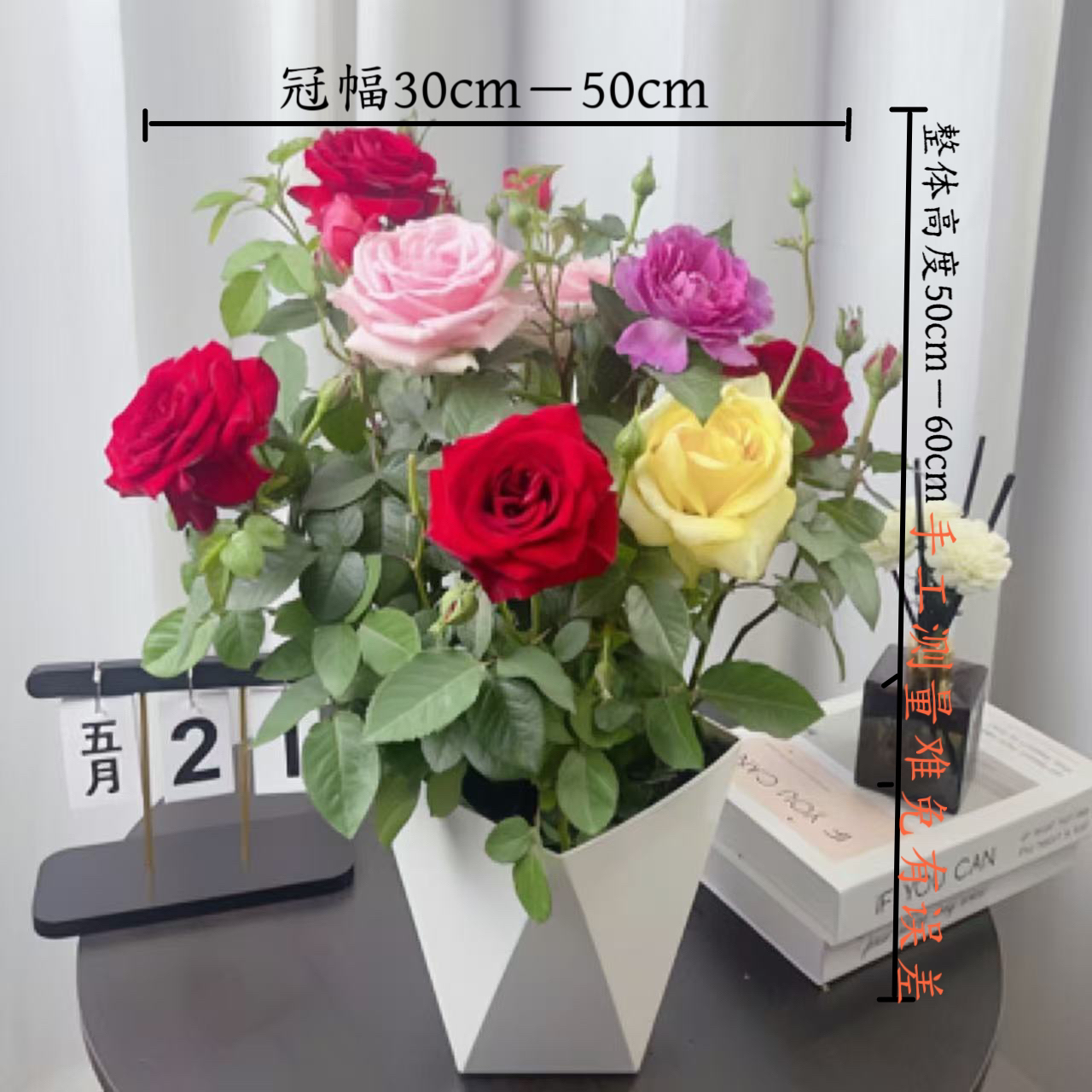 A混色月季  盆栽月季  云南基地直发