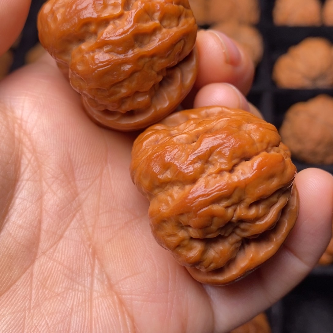 文玩核桃把件秦岭野生核桃