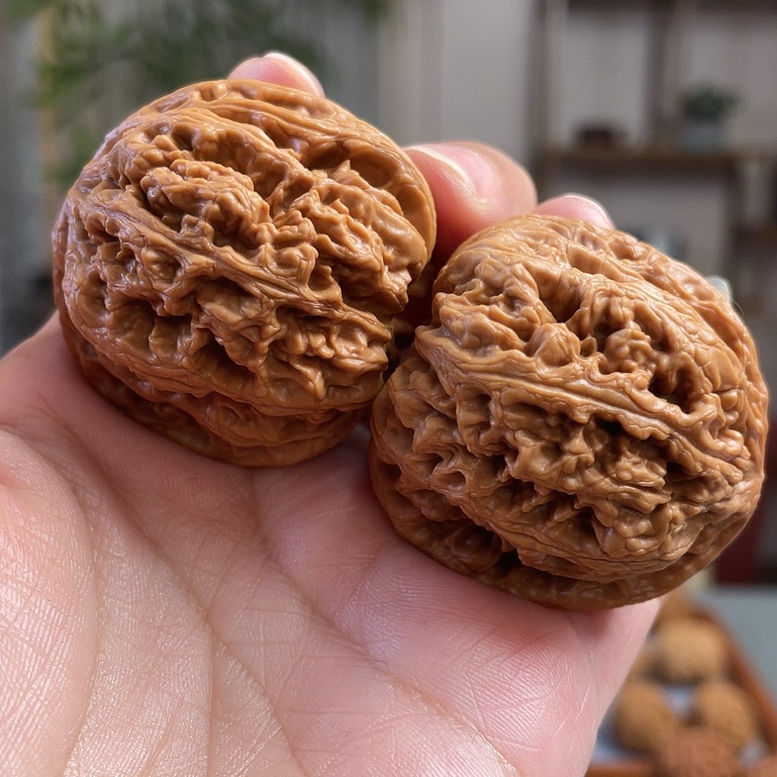 桃核把件42×43尺平谷大粗筋（微蹭尖）CN01455已打底