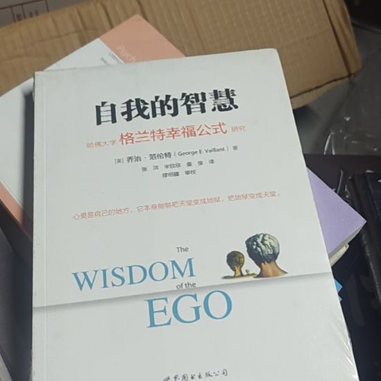 自我的智慧，格兰特幸福公式研究，乔治范伦特的一本。