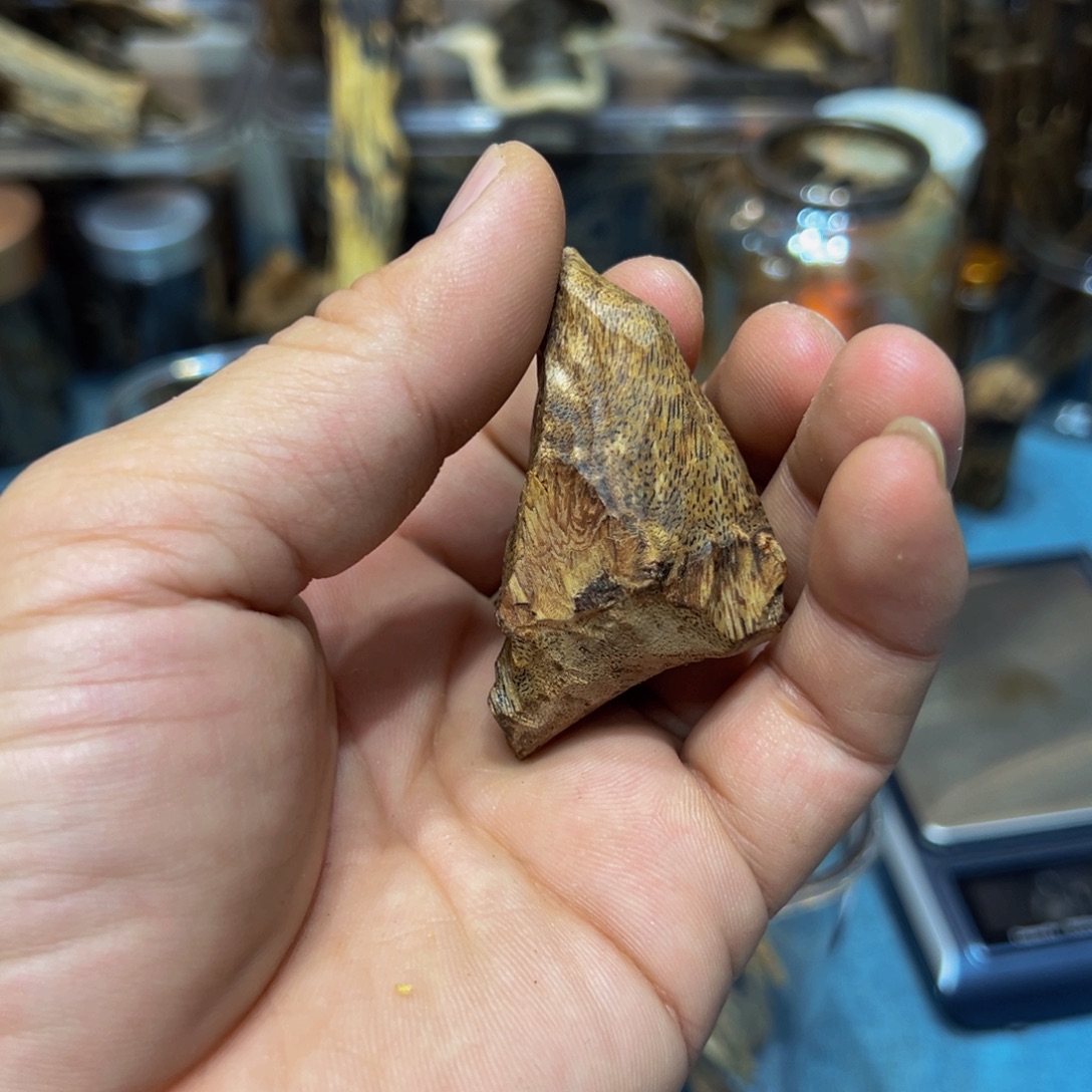 无***涯沉香沉香碎屑奇楠树丁15克