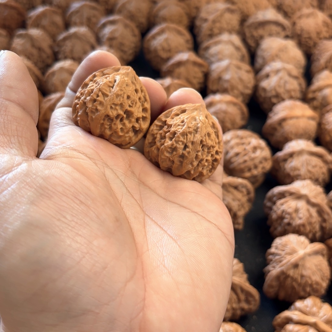 文玩核桃把件A****猫金牛