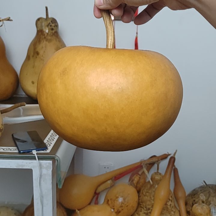 豆***航一个苹果葫芦你好啊，