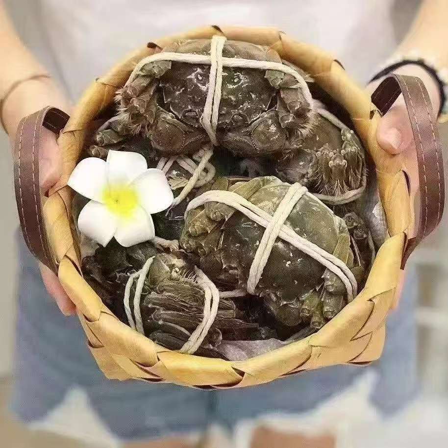 【活蟹】兴化红膏大闸蟹母蟹2.8-2.7两8只送2只共10只