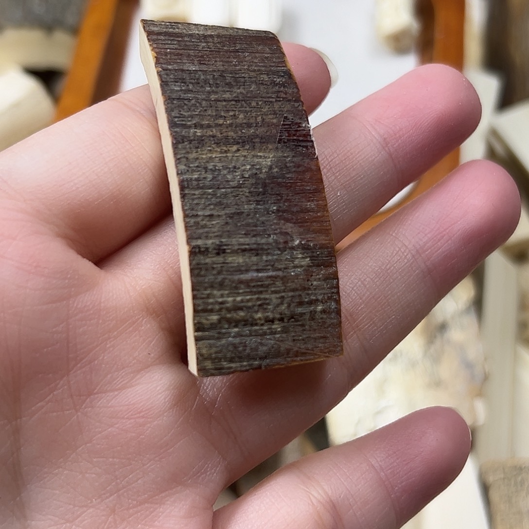 手串/手链/手镯猛犸象牙猛犸原材料边角料大块料