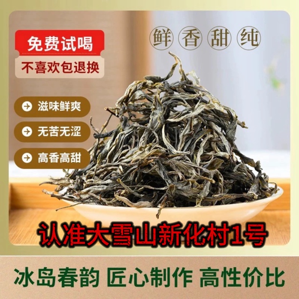 冰岛村坝歪普洱茶古树生茶散茶