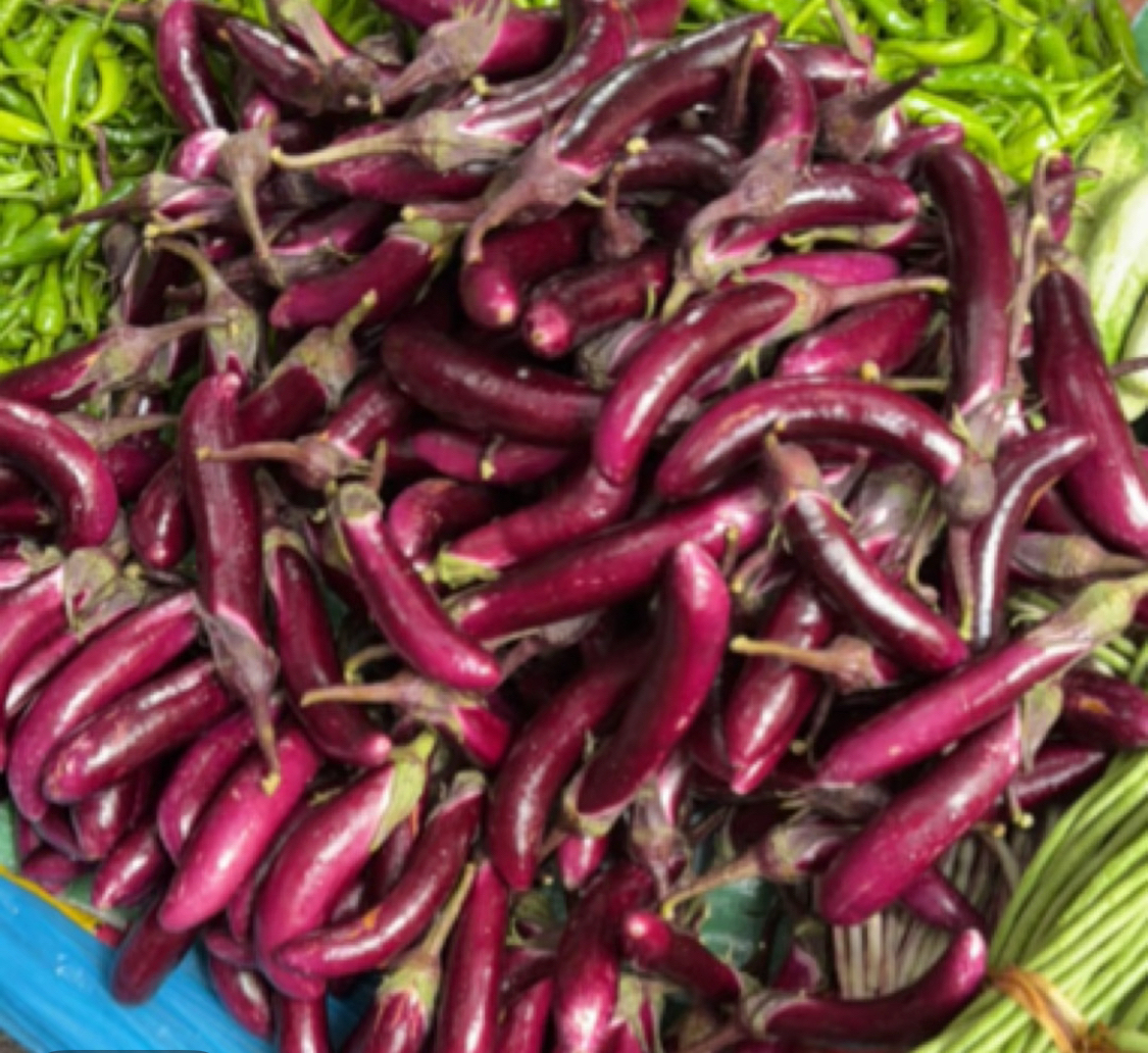 （阿宾助农代购）贵州新鲜现摘紫色农家线茄软糯鲜甜农家应季蔬菜