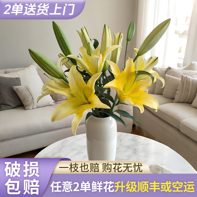 【花王朝】黄色百合-香水百合鲜花水养插花鲜切花