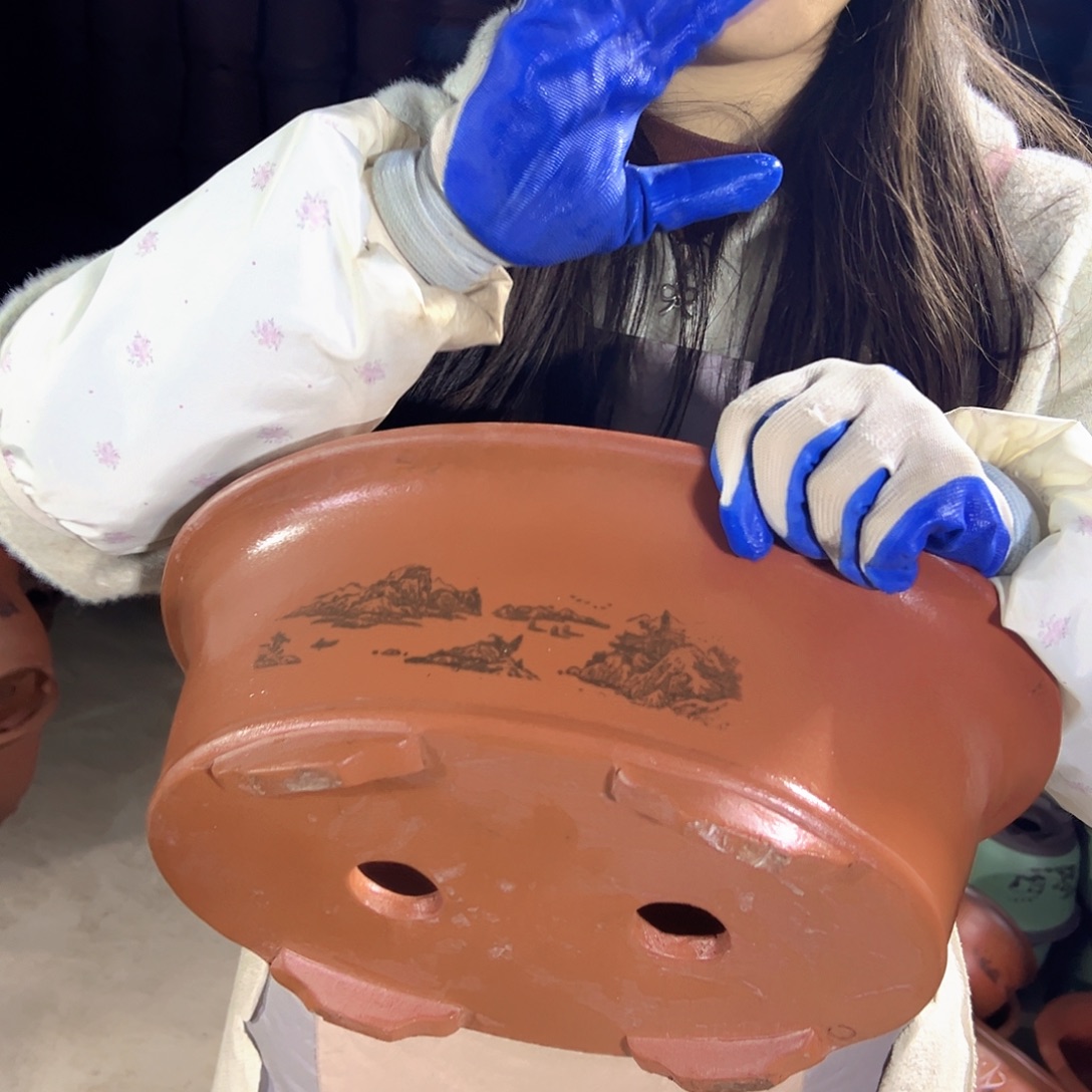 30红椭圆花盆花盆花盆