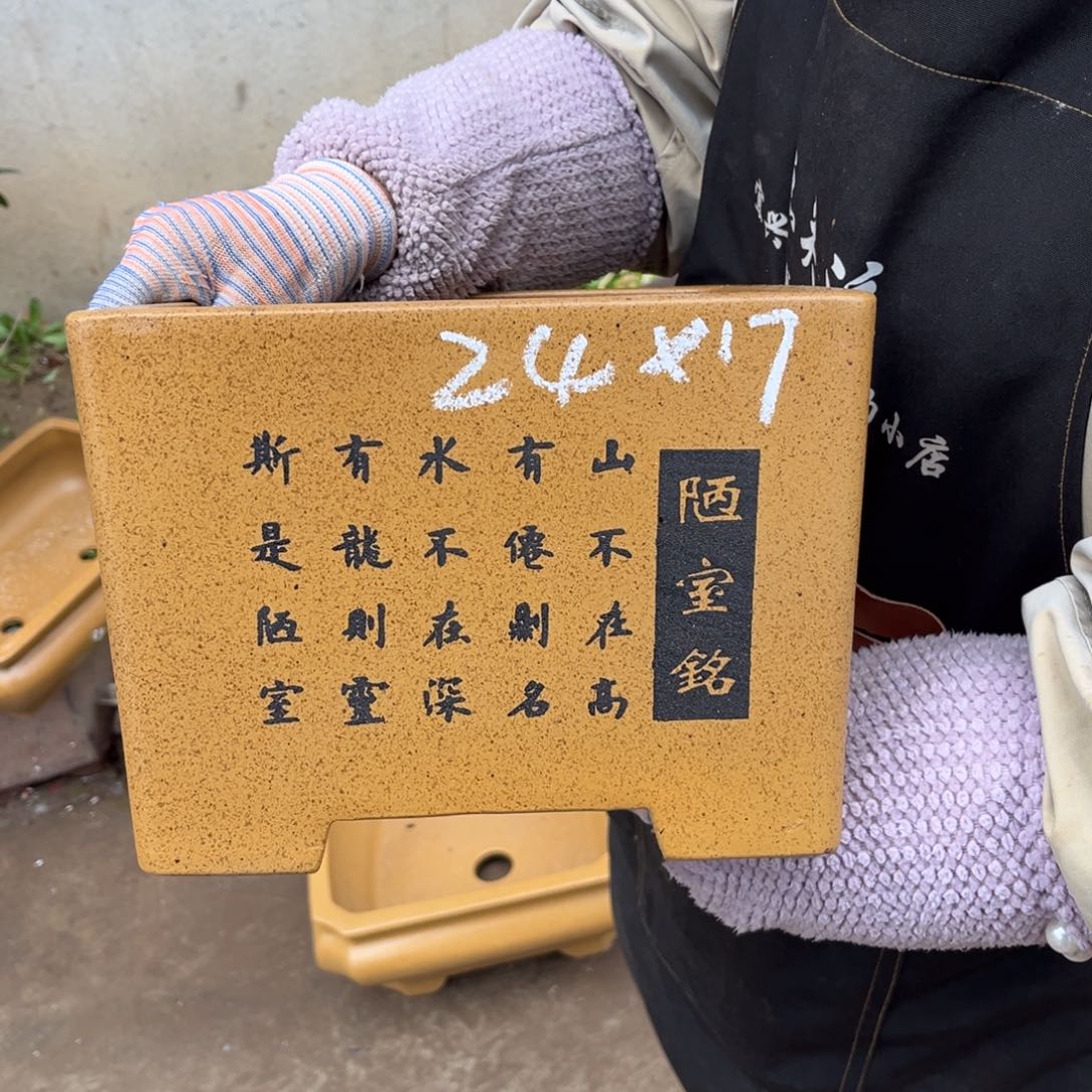 紫砂花盆盆景艺术