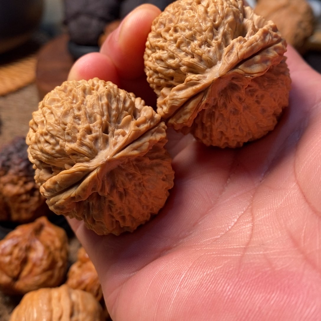 文玩核桃把件臻龙