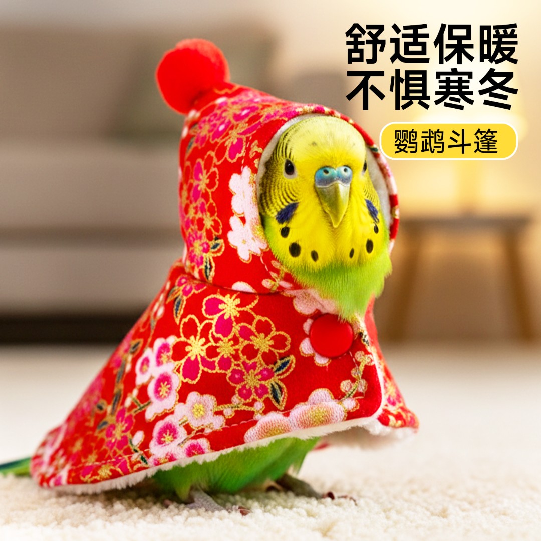 鹦鹉斗篷披风虎皮牡丹新年小衣服外出小鸟专用玄凤小太阳过冬神器