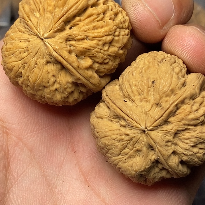 把件文玩核桃云南铁核桃5