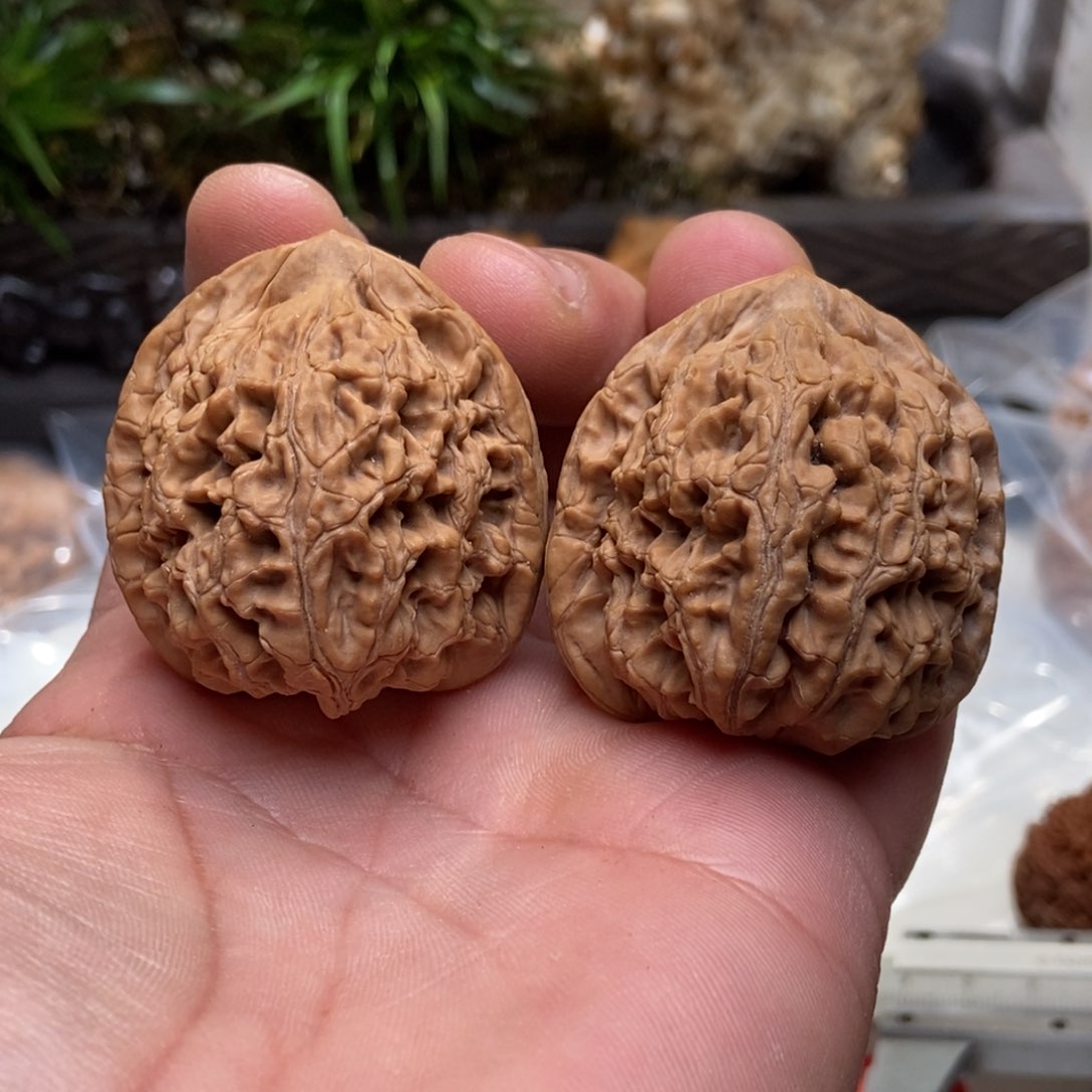 文玩核桃把件41水龙纹