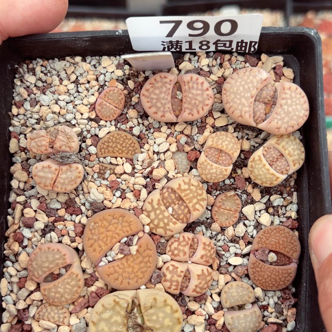 【闪购商品】790……