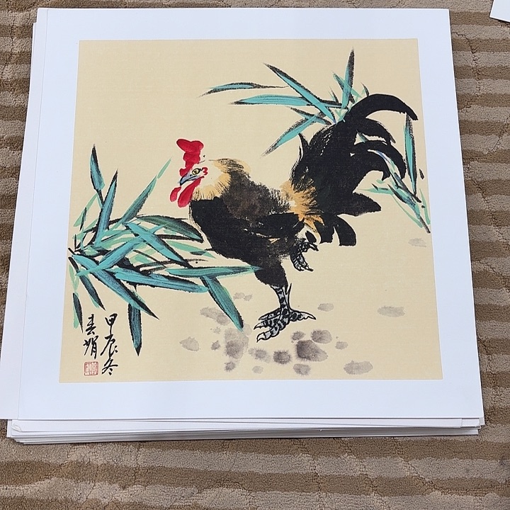 国画花鸟的翅膀和羽毛50.50