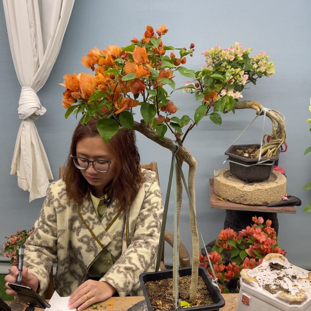 完全开放9912橙不甜