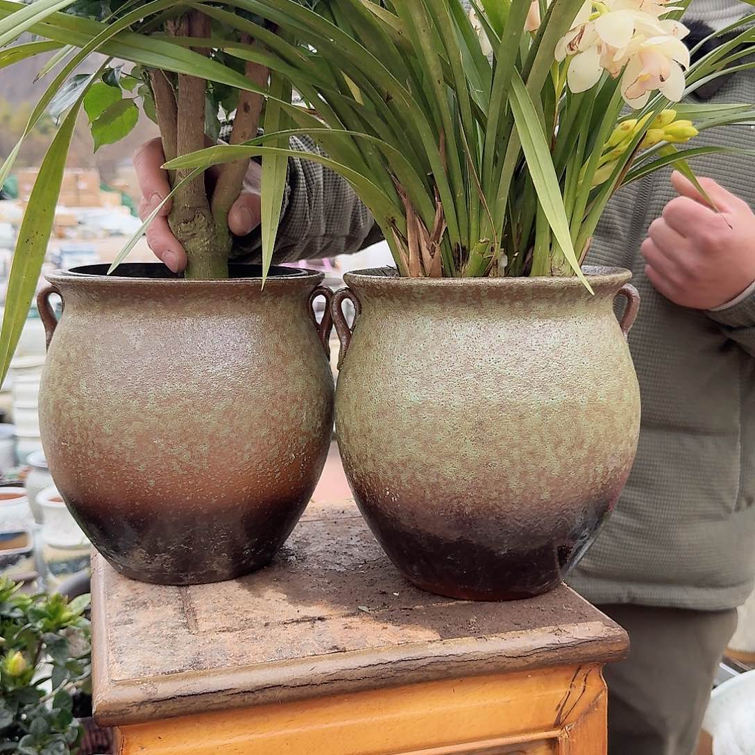 紫砂花盆口18高20（两个牛油果