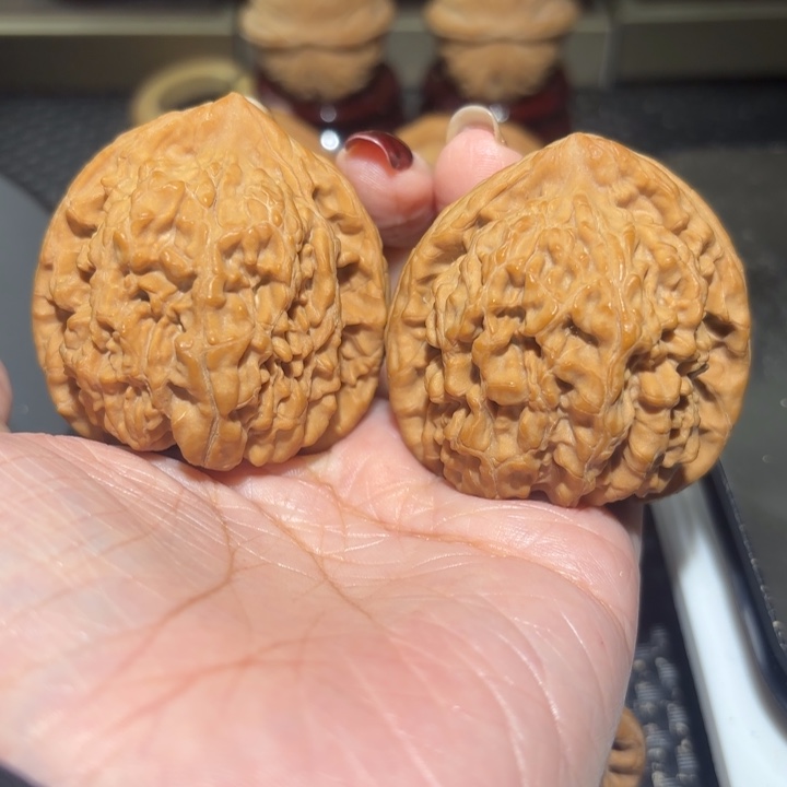 文玩核桃把件45蚂蚁王