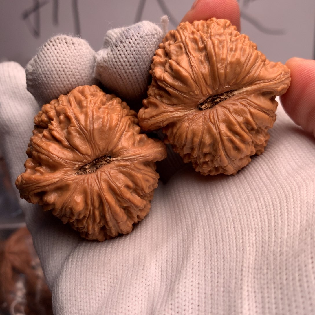 @****泥鳅27个村民组成小组组成村民