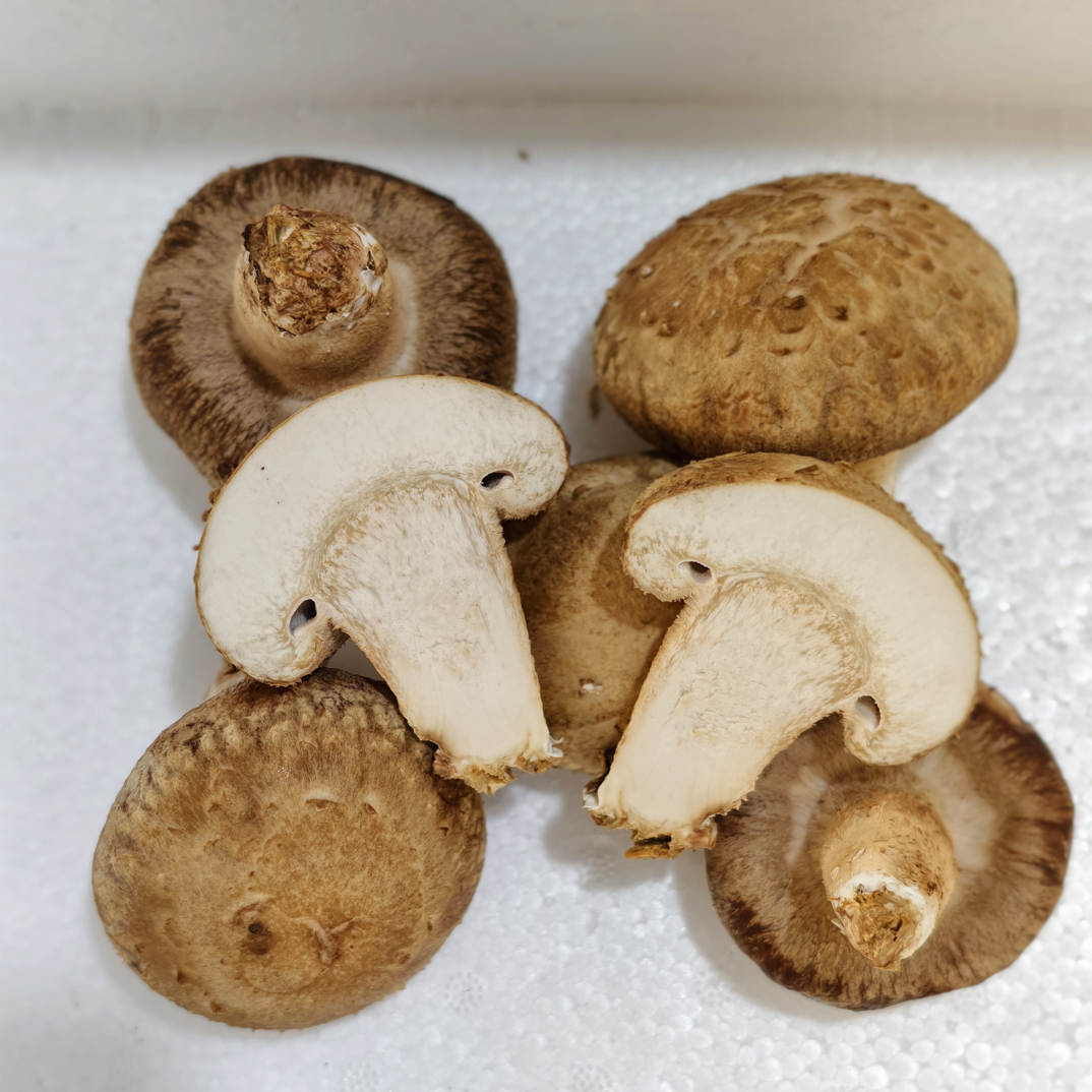 【天津猴瘦瘦农场】鲜香菇2斤，最近的花还不太好看，介意慎拍！