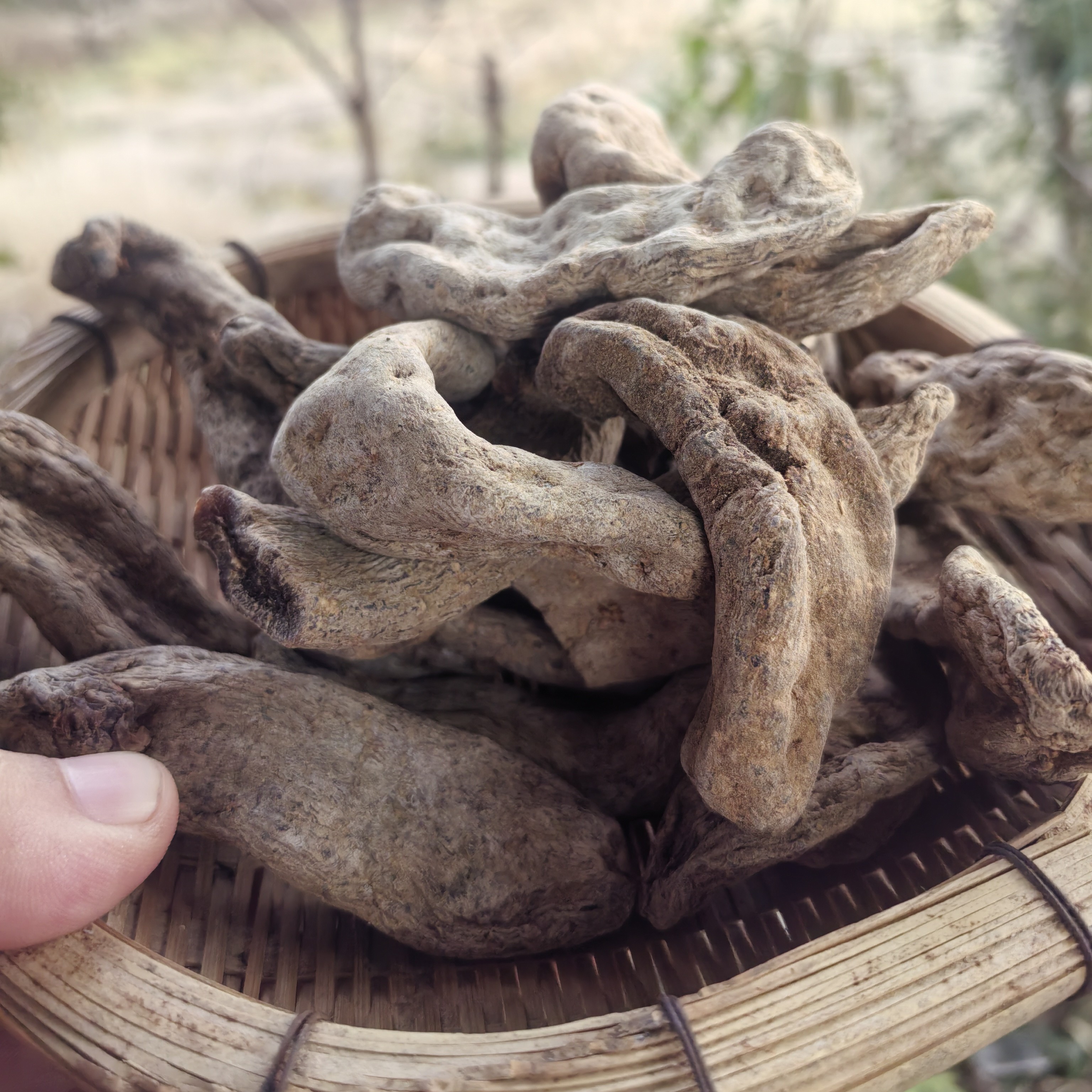 云南边境好物琉璃黑天M
