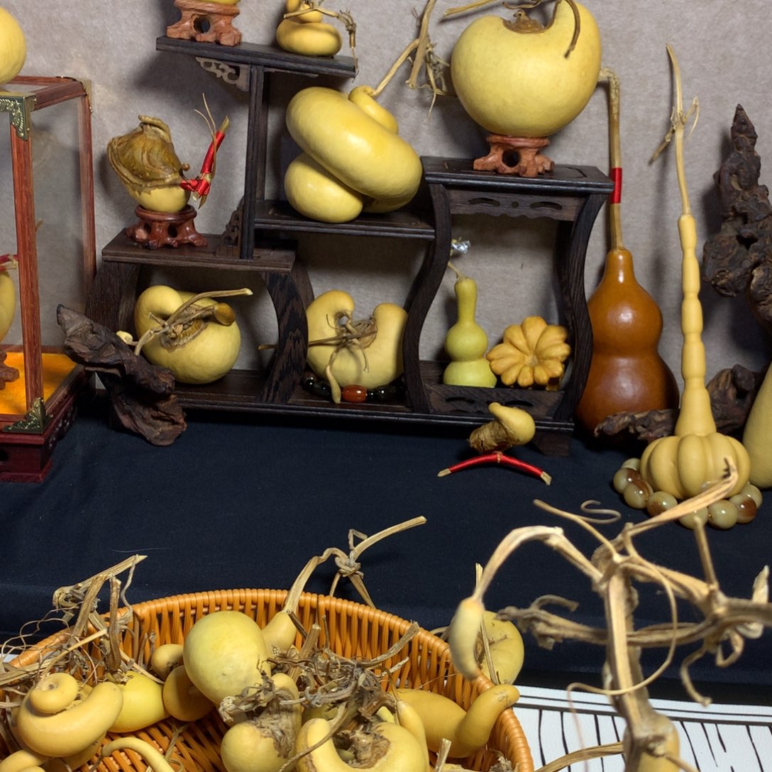 圆***圆葫芦葫芦真的好漂亮啊