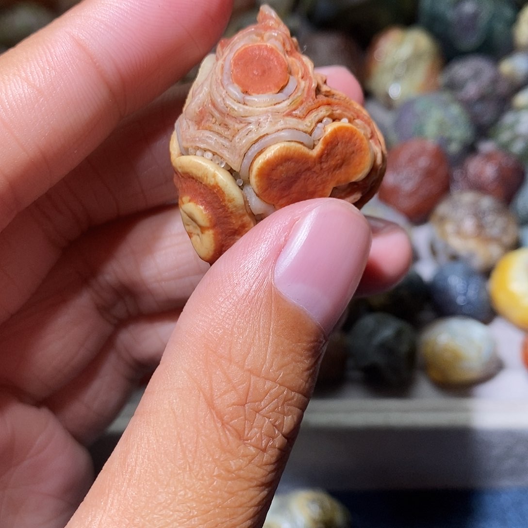 石头精品眼睛单科