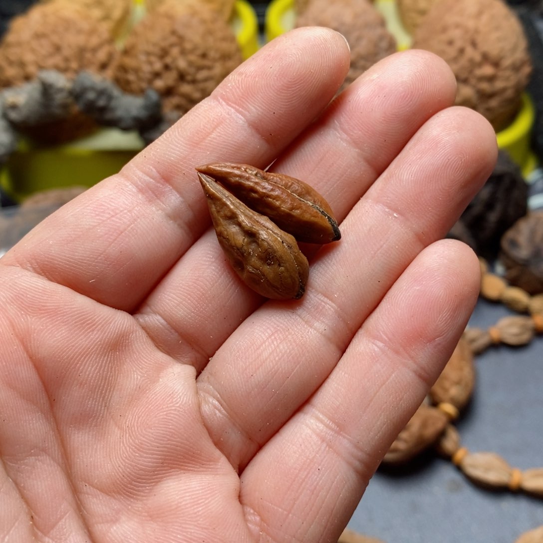 文玩核桃吊坠核桃39