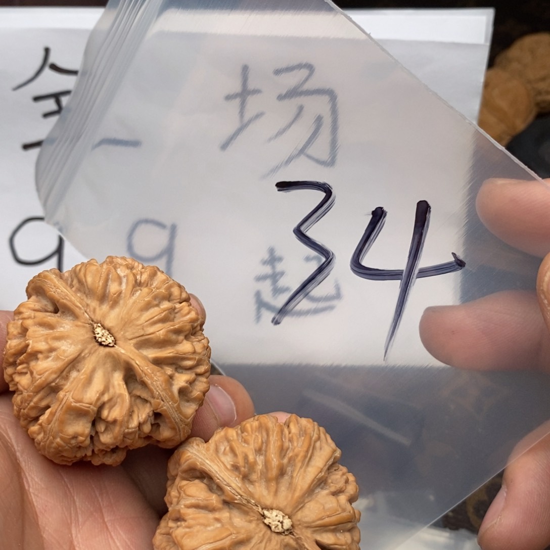 W86336933696398623853