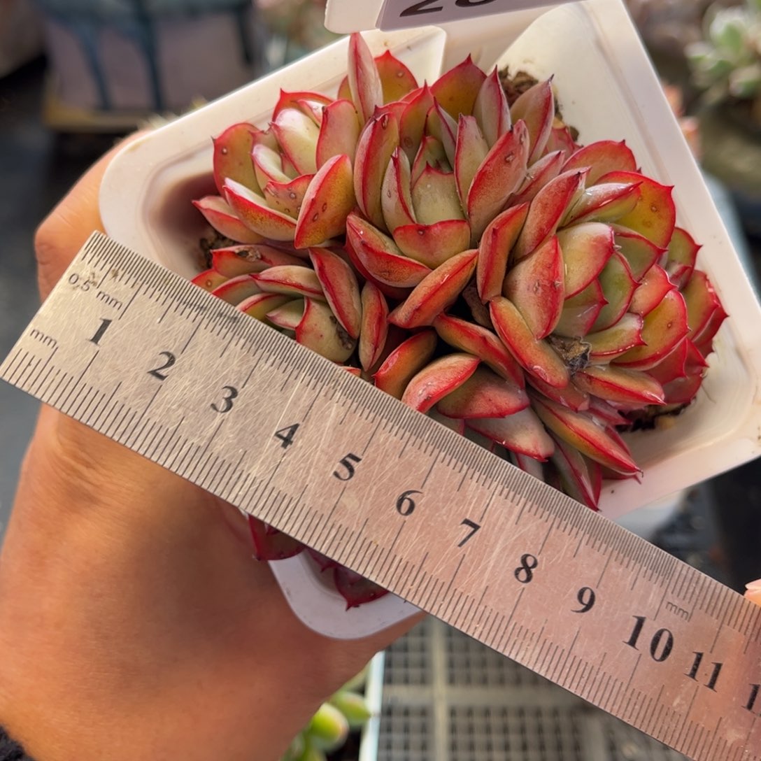 2800 满30包邮，天冷地区必拍保温箱