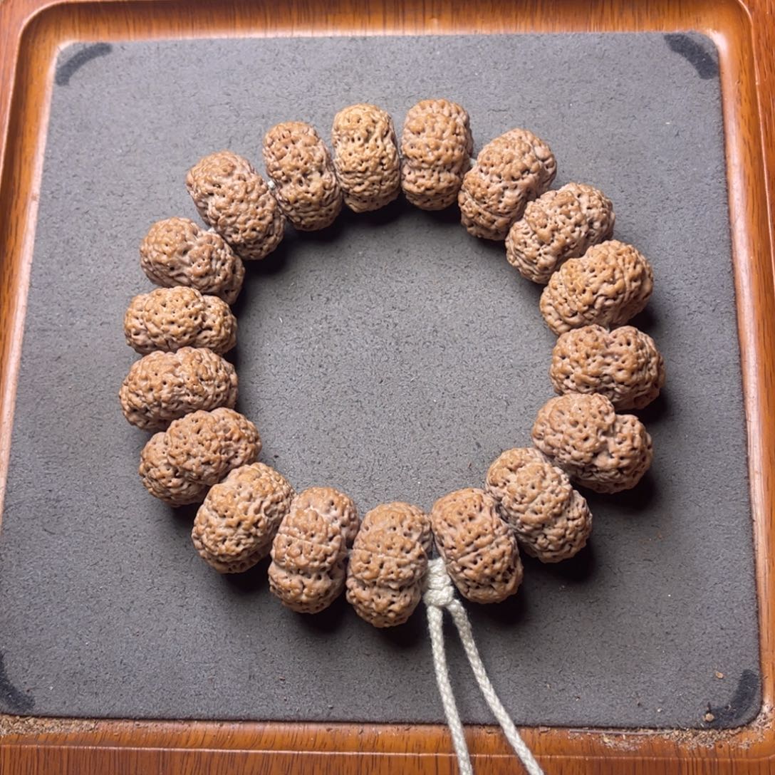 菩提籽类29号金刚菩提夹板菠萝蜜23.5/24