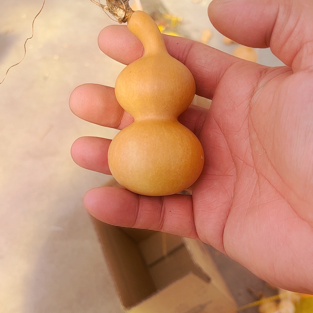 1***5大叶紫檀（黑酸枝木类）