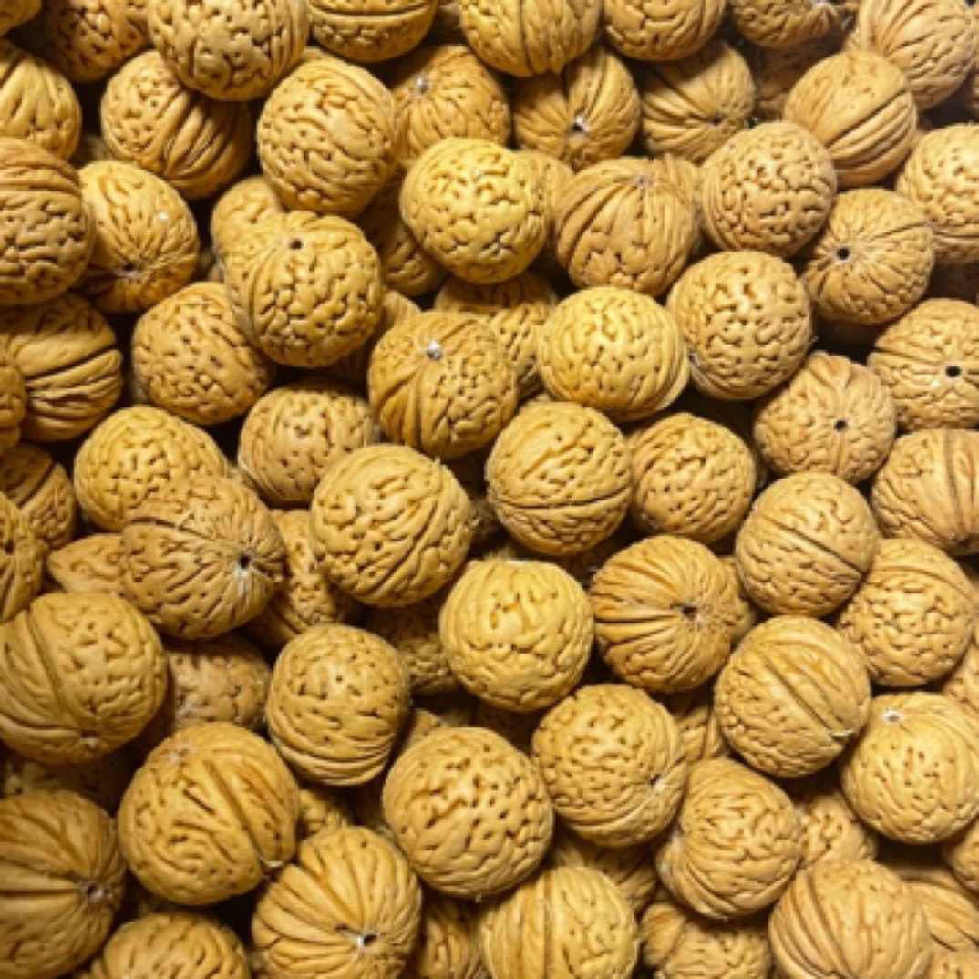 各种桃核散籽原皮原色