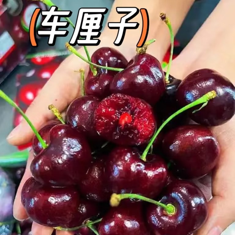 空运智利桑提娜车厘子4JD2/5斤装，又脆又甜，内附果径卡