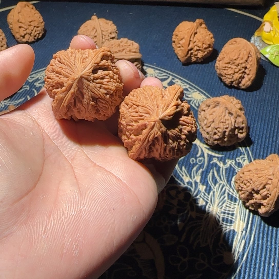 房***猴南疆哈哈哈哈哈哈哈