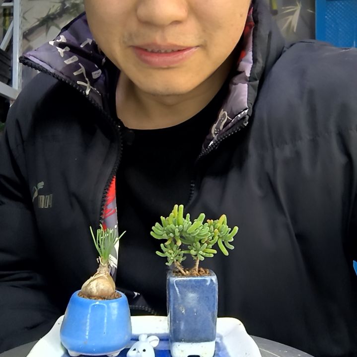 .***.中青园艺一物一拍花402