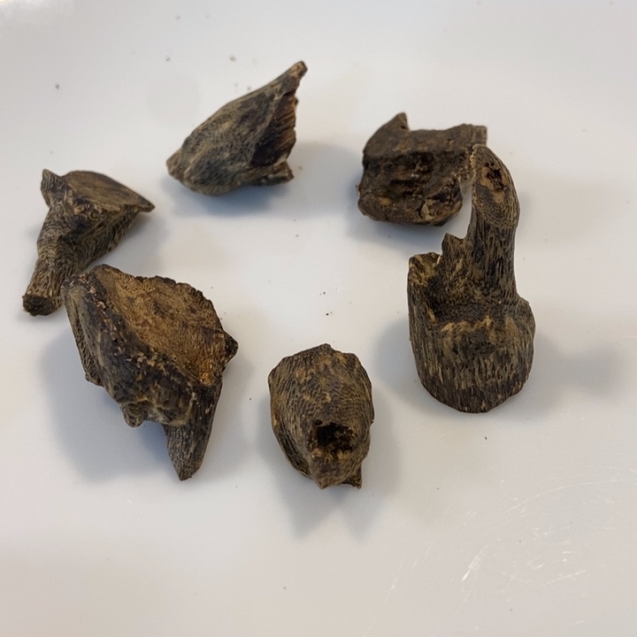 笑***容沉香沉香碎屑奇楠沉水留疤丁多样性发一