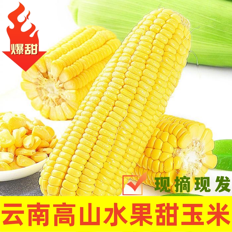 云南高山水果甜玉米新鲜清甜可生吃产地直发带箱5斤装