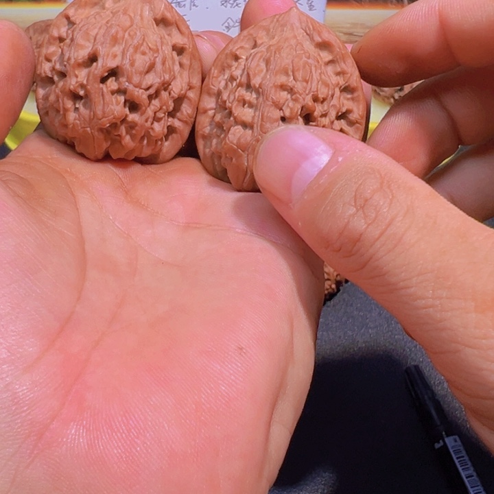 吊坠龙脊菩提37精品红狮子