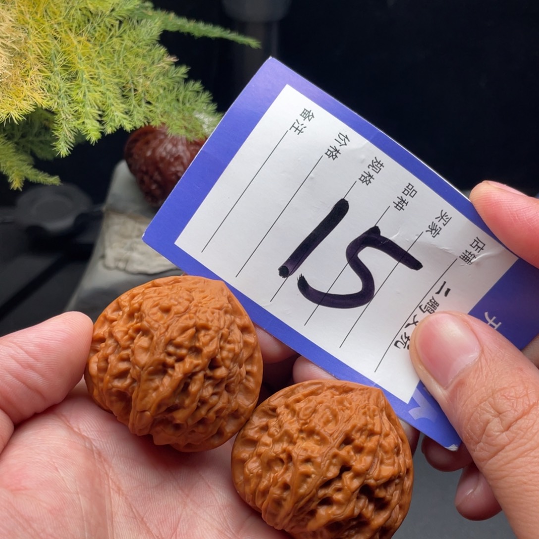 ****F文玩核桃把件金牛41