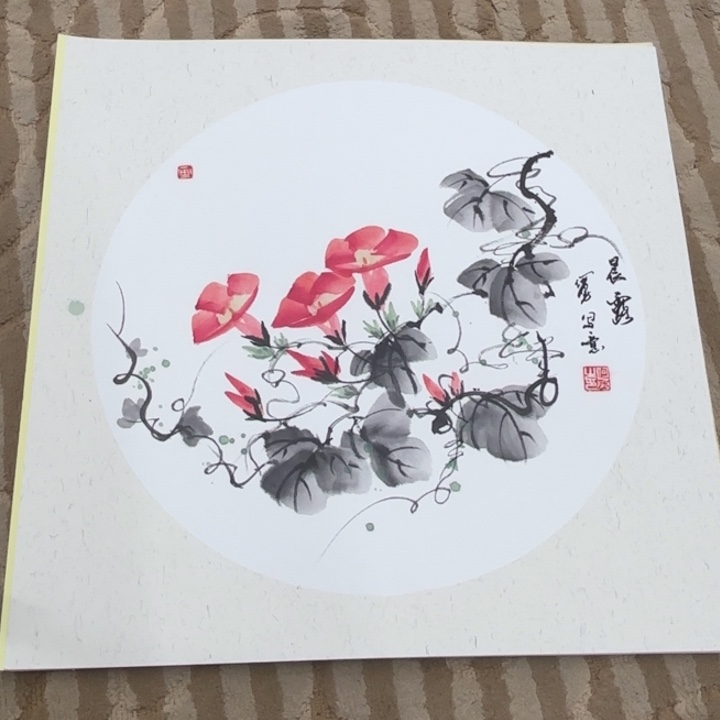 国画花鸟等多种鸟类的栖息地