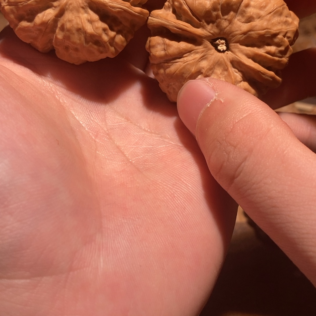 寂***言文玩核桃吊坠蛤蟆头D44